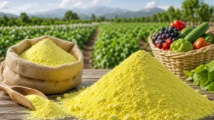 گوگرد پودری با ساختار یکنواخت